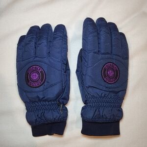 Goretex Conroy Snow Ski Gloves Navy Blue Men's Large